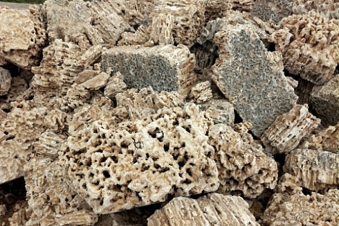 Kamenclub.ru: Крымский природный меотис фр. 100-500 мм.  купить в Люберцах меотис бежевый рыжий молочный желтый ракушечник 4 500 руб/т   фото КАМЕНЬ КЛУБ