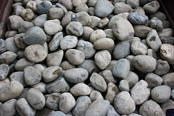 Kamenclub.ru: Речной валун (Ассорти) фр.100-300 мм.  купить в Люберцах галечник серый, темно-серый, светло-серый речная галька крупных размеров 4200 руб/т   фото КАМЕНЬ КЛУБ